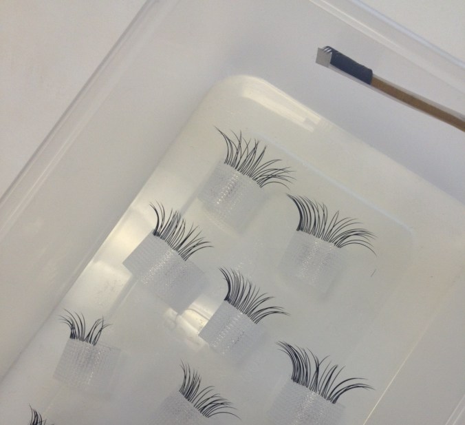 TRAY O LASHES