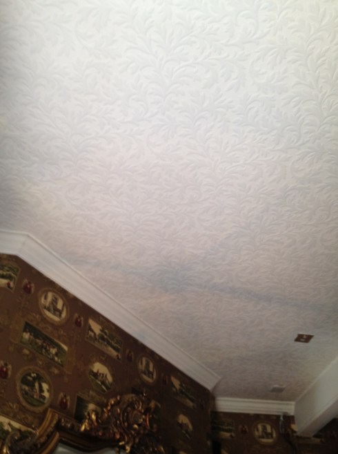 FLOCKED CEILING PAPER